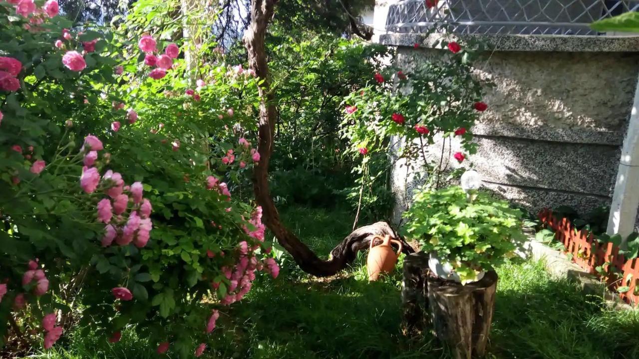 Belivanovi B&B House Veliko Tŭrnovo Exterior foto